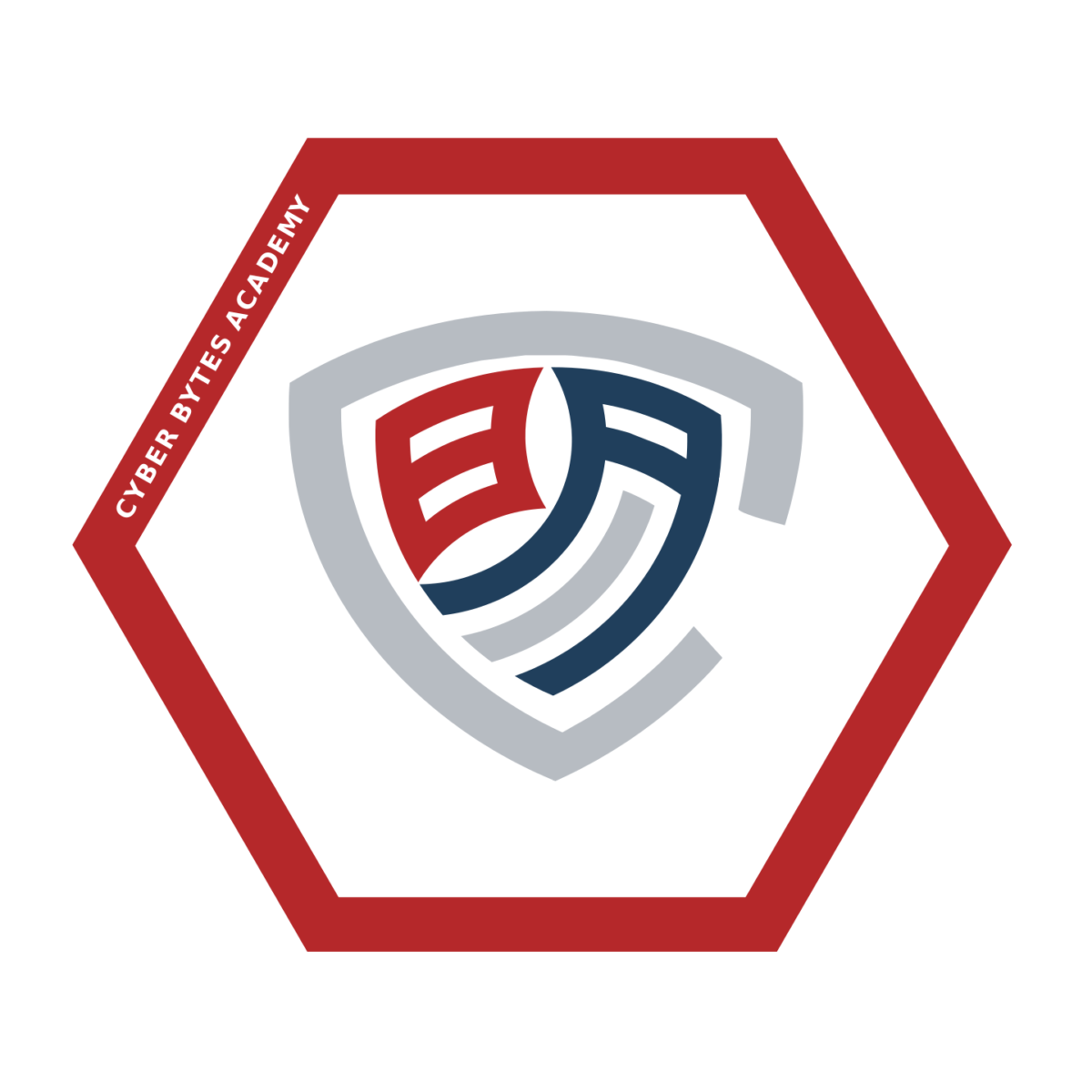 Cyber Bytes Academy – Cyber Bytes Foundation